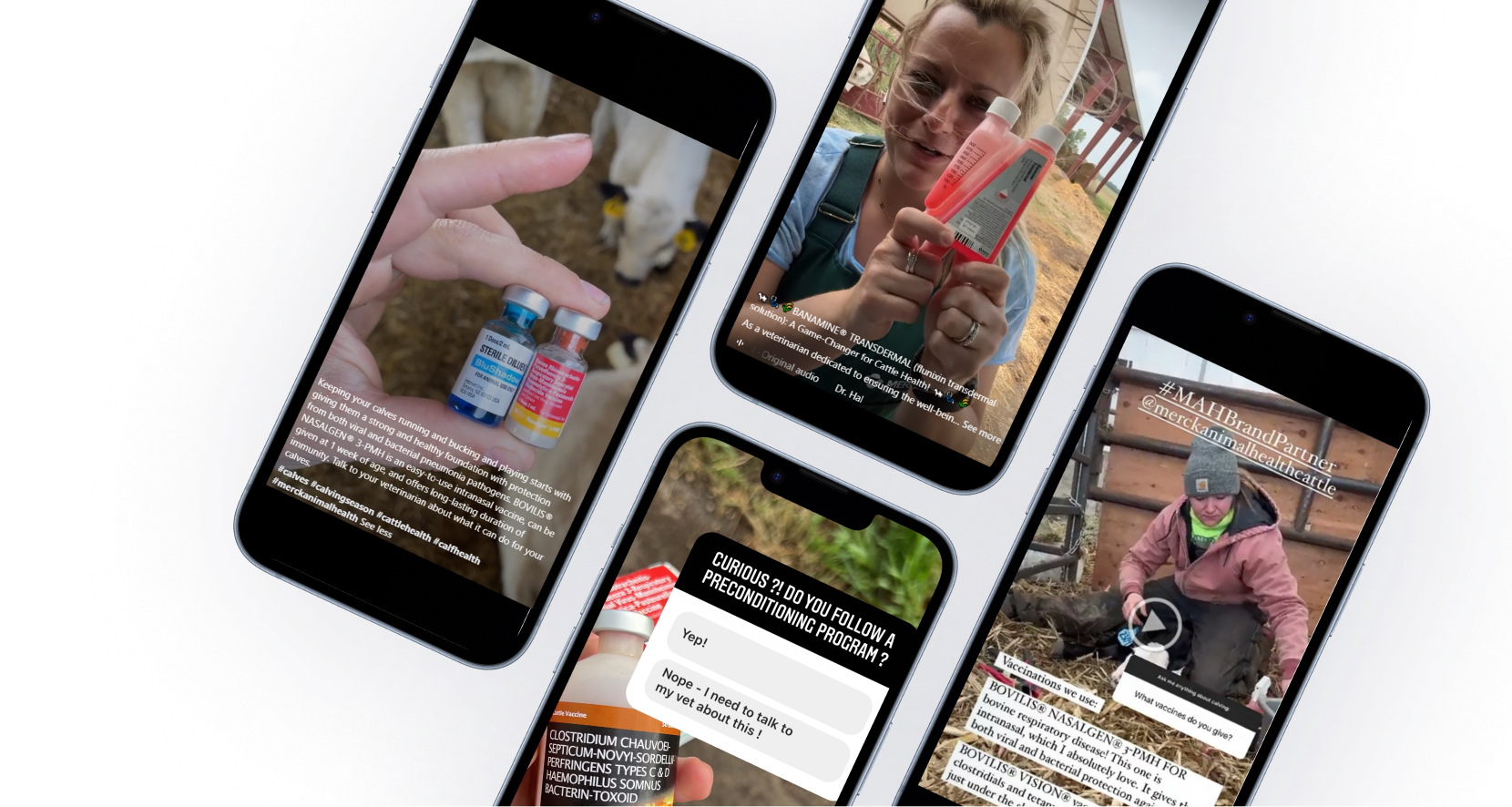 phone showing social campaign