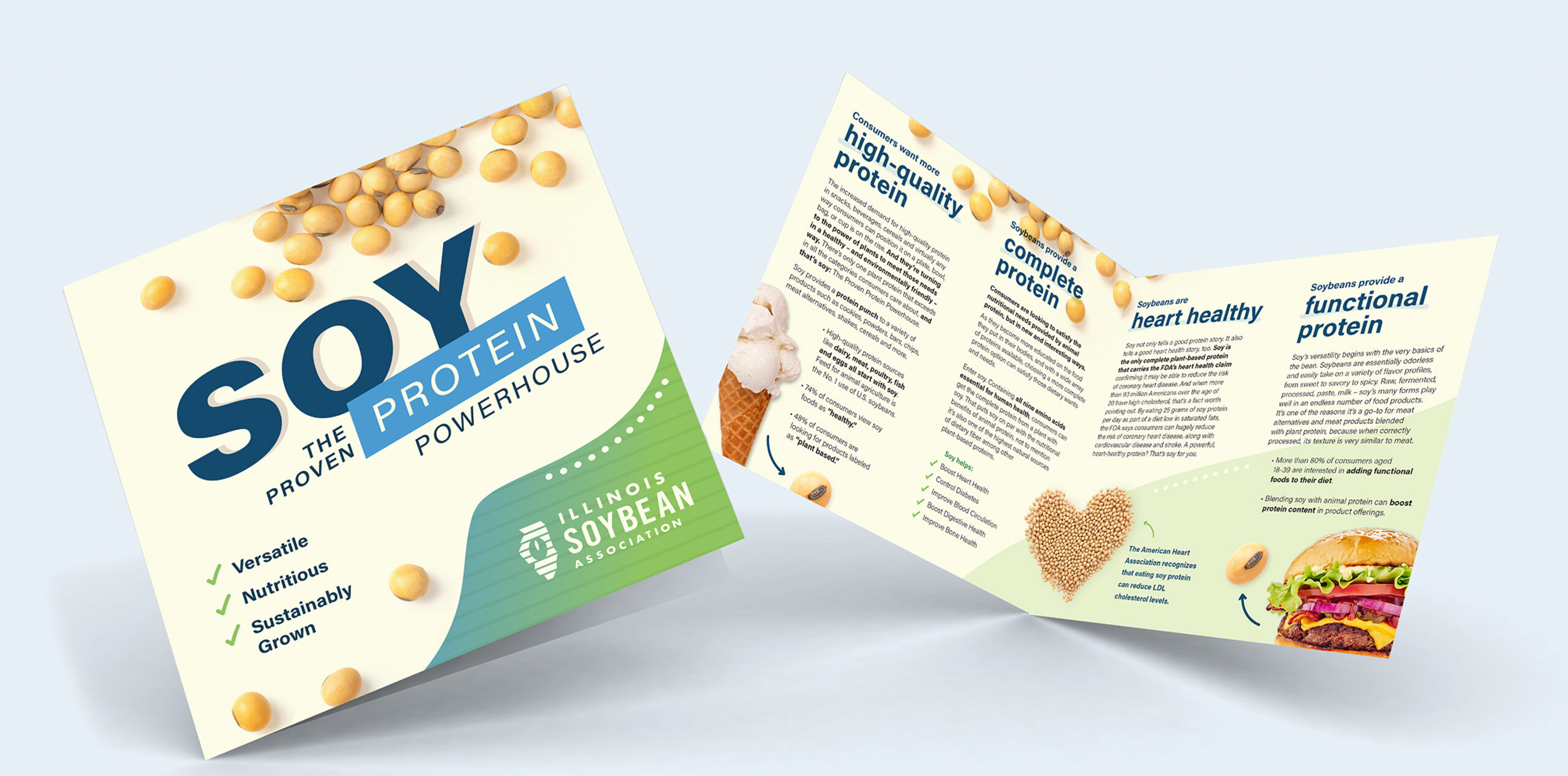 mockup booklet