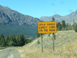 mountain range