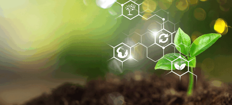 What agritech strategy questions should you ask before launching a product